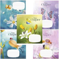 Burtnīca 12 lapas rūtiņu, Main Chapter kartona