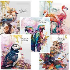 Klade A5/48 lapas rūtiņu, Beauty