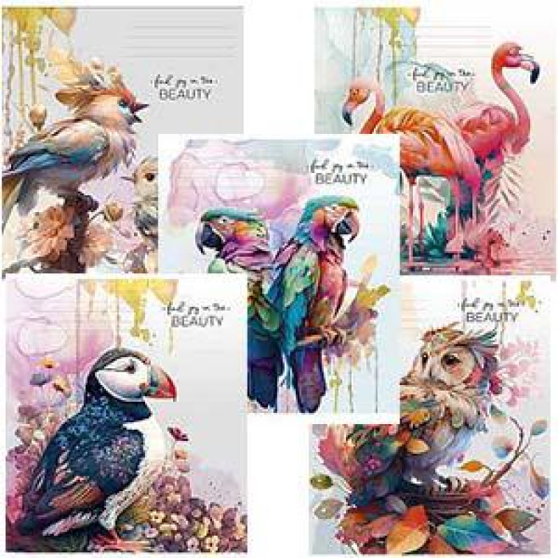 Klade A5/48 lapas rūtiņu, Beauty