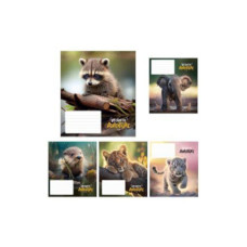 Burtnīca 12 lapas līniju, Adventure, UV laka