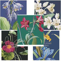 Klade A5/96 lapas rūtiņu, Vintage flower