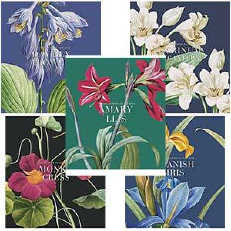 Klade A5/96 lapas rūtiņu, Vintage flower