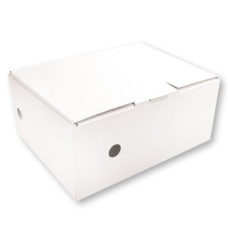 Arhīva kārba 100x270x350, balta, SMLT