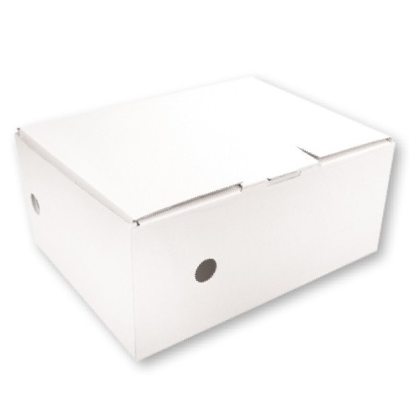 Arhīva kārba 100x270x350, balta, SMLT