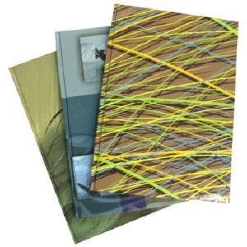 Klade AMEX A4/96 līniju, ciets lakots vāks