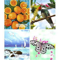 Klade, A5/48 lapas, līniju