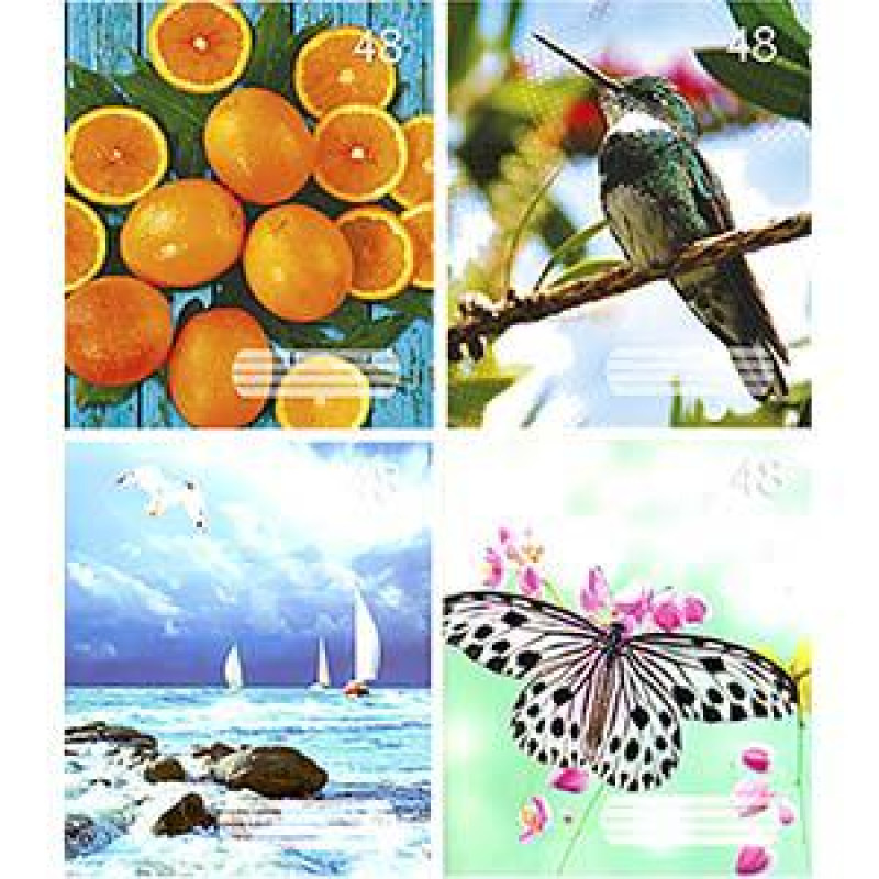 Klade, A5/48 lapas, līniju