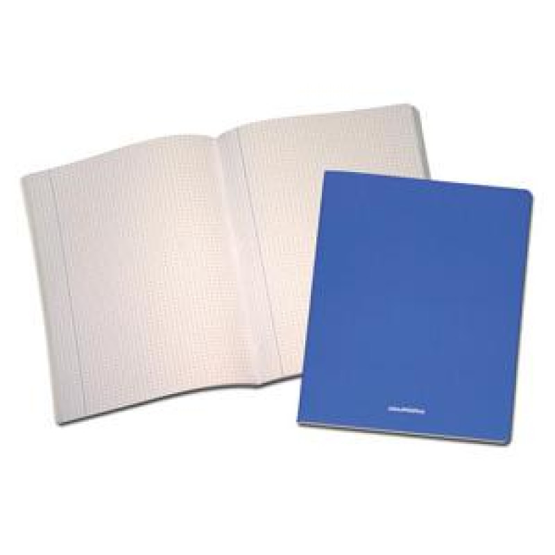 Klade AURORA A4/36 līniju, sintētiskais vāks