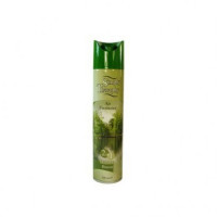 Gaisa atsvaidzinātājs SIMPLY Mountain 300ml 1gb