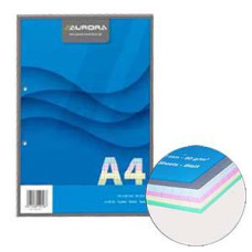 *Lapas A4/100 lap.rūtiņu ar 2 caur. 4 krāsas lapas