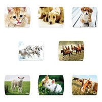 Paliktnis pelei UB SVEN