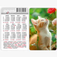 Kabatas kalendārs 2025g.