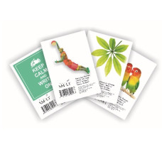 Bloknots A6/50 lapas rūtiņu, SMLT