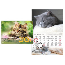 Sienas kalendārs, Kaķu kalendārs, Timer, 2026g.