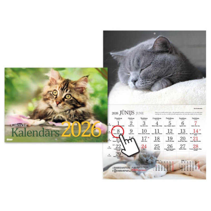 Sienas kalendārs, Kaķu kalendārs, Timer, 2026g.