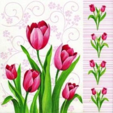 TREND salvetes PAVASARIS/ TULPE , 33x33, 1kārta, 20 gab.
