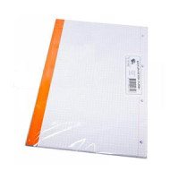 Lapas krāsainas, rutiņas A4/80 lap. caururbts