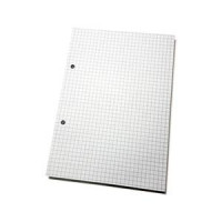 Bloknots A5, 148x210mm 50 rūtiņu lapas, bez vāka