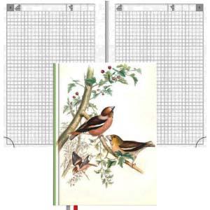 Plānotājs bez datumiem TEMPO Birds, rūtiņu